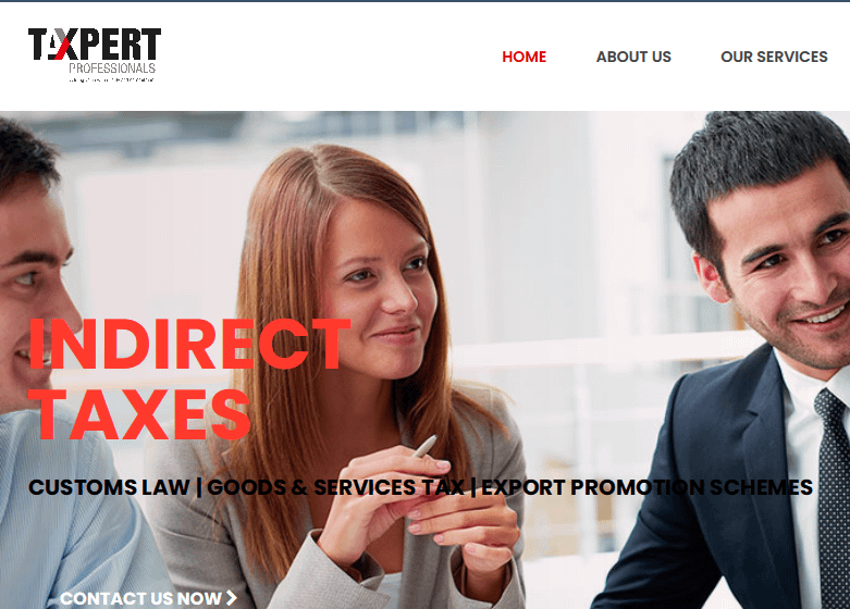 Taxpert Professional - Tax Website design